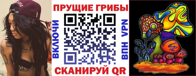 hydra сайт  Пущино  Псилоцибиновые грибы Psilocybe 